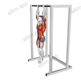 Hanging Front Lever Raise exercise targeting Waist