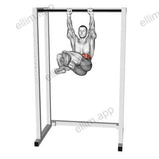 Hanging Half Windmill exercise targeting Waist