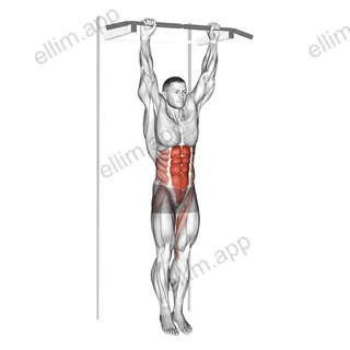 Hanging Leg Hip Raise exercise targeting Waist and Iliopsoas