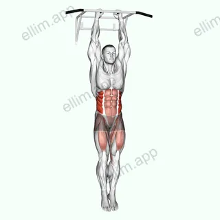 Hanging Oblique Knee Raise exercise targeting Waist and Iliopsoas