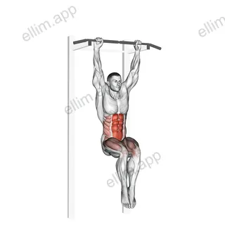 Hanging Pike exercise targeting Waist and Rectus Abdominis