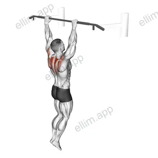 Hanging Scapular Shrug exercise targeting Back