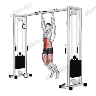 Hanging Straight Leg Hip Raise exercise targeting Waist and Rectus Abdominis