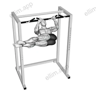 Hanging Straight Twisting Leg Hip Raise exercise targeting Waist and Obliques