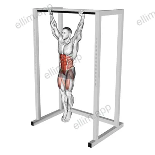 Hanging Toes to Bar exercise targeting Waist and Iliopsoas