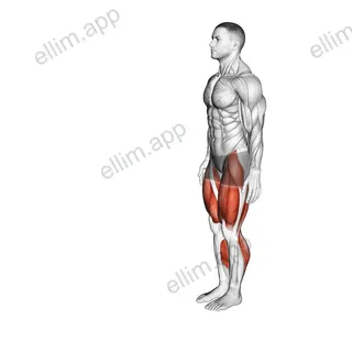 Heel to Toe Walk exercise targeting Plyometrics