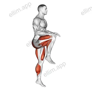 High Knee Run exercise targeting Calves and Hips