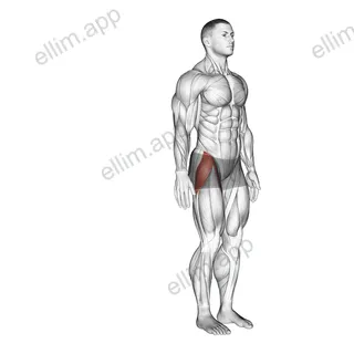 Hip - Abduction exercise targeting Hips