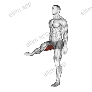 Hip - Adduction exercise targeting Hips