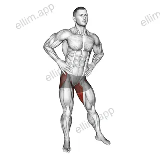 Hip Circles Stretch exercise targeting Hips and Adductor Brevis