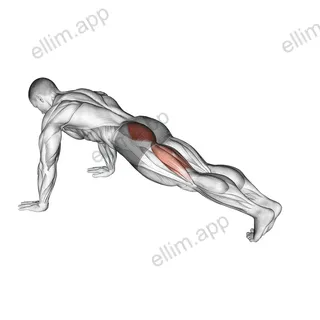 Hip Extension Stretch exercise targeting Hips and Gluteus Maximus