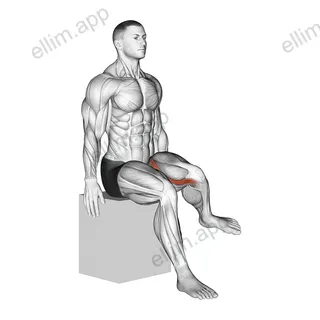 Hip - Lateral Rotation (External Rotation) exercise targeting Hips