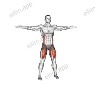Hip Swirls exercise targeting Hips and Adductor Brevis