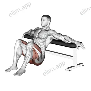 Hip Thrusts exercise targeting Hips