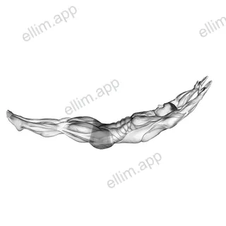Hollow Hold exercise targeting Waist and Iliopsoas