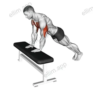 Incline Close Grip Push Up exercise targeting Upper Arms