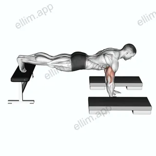 Incline Push Up Depth Jump exercise targeting Chest and Pectoralis Major Sternal Head