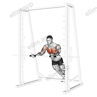 Incline Reverse Grip Push Up exercise targeting Chest