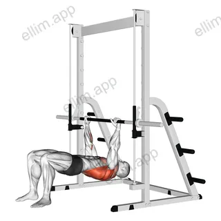 Inverted Row Bent Knees exercise targeting Back and Infraspinatus