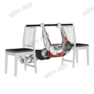 Inverted Row between Chairs exercise targeting Back and Infraspinatus