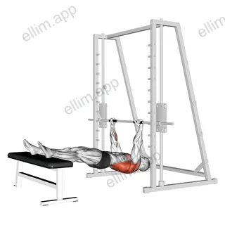 Inverted Row on Bench exercise targeting Back and Infraspinatus