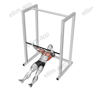 Inverted Row Slide on Floor exercise targeting Back