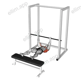 Inverted Row Slide exercise targeting Back