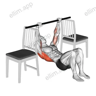 Inverted Row with Bent Knee between Chairs exercise targeting Back and Infraspinatus