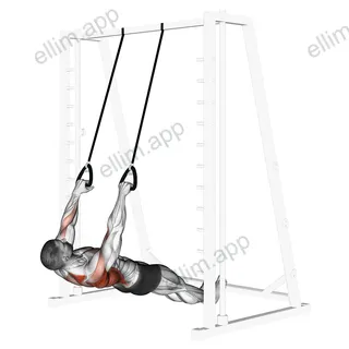 Inverted Row with Straps exercise targeting Back and Infraspinatus
