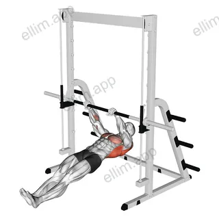Inverted Row exercise targeting Back and Infraspinatus
