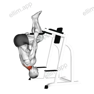 Inverted Shrug (on parallel bars) exercise targeting Back