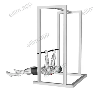 Inverted Shrug exercise targeting Back
