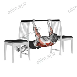 Inverted Underhand Grip Row between Chairs exercise targeting Back and Infraspinatus