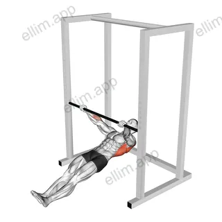 Inverted Wide Row exercise targeting Back and Latissimus Dorsi