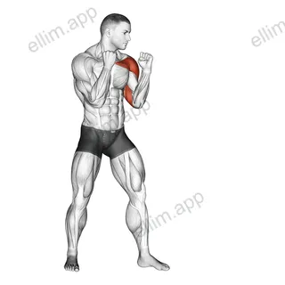 Jab. Boxing exercise targeting Plyometrics