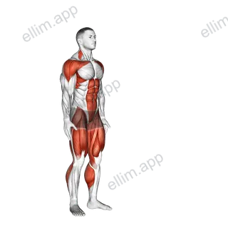 Jack Jump exercise targeting Cardio