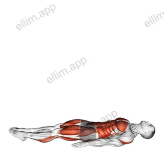 JackKnife exercise targeting Stretching