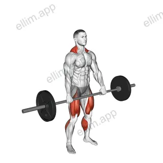 Jump Shrug exercise targeting Thighs and Adductor Magnus