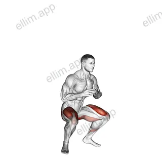 Jump Squat exercise targeting Thighs and Gluteus Maximus