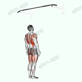 Jumping Pull up exercise targeting Back