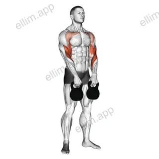 Kettlebell Alternating Hang Clean exercise targeting Forearms and Biceps Brachii