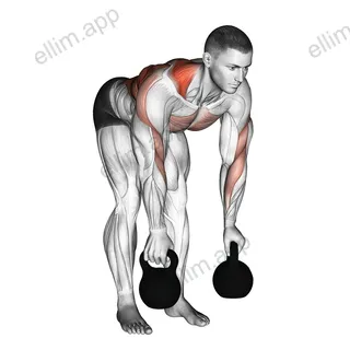 Kettlebell Alternating Row exercise targeting Back and Infraspinatus