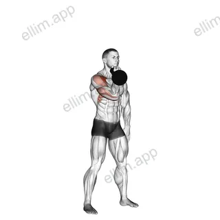 Kettlebell Arnold Press exercise targeting Shoulders and Deltoid Anterior