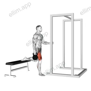 Kettlebell Assisted Bulgarian Split Squat exercise targeting Thighs