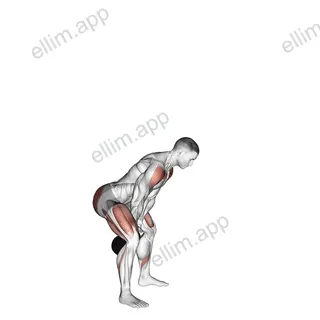 Kettlebell Full Swing exercise targeting Deltoid Anterior and Gluteus Maximus