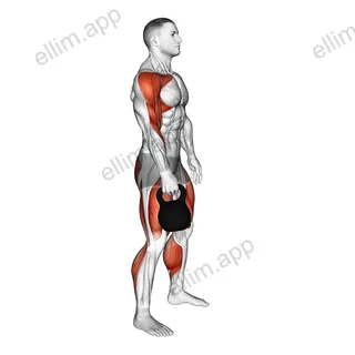 Kettlebell Hang Clean exercise targeting Thighs and Adductor Magnus