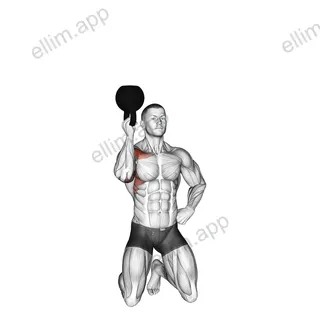 Kettlebell Kneeling One Arm Bottoms Up Press exercise targeting Shoulders