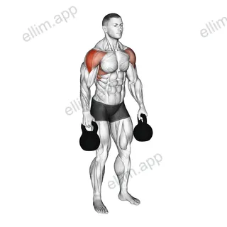 Kettlebell Lateral Raise exercise targeting Shoulders and Deltoid Lateral