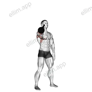 Kettlebell One Arm Military Press To The Side exercise targeting Shoulders and Deltoid Anterior