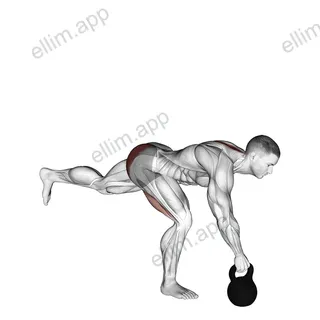 Kettlebell One Legged Deadlift exercise targeting Hips and Gluteus Maximus